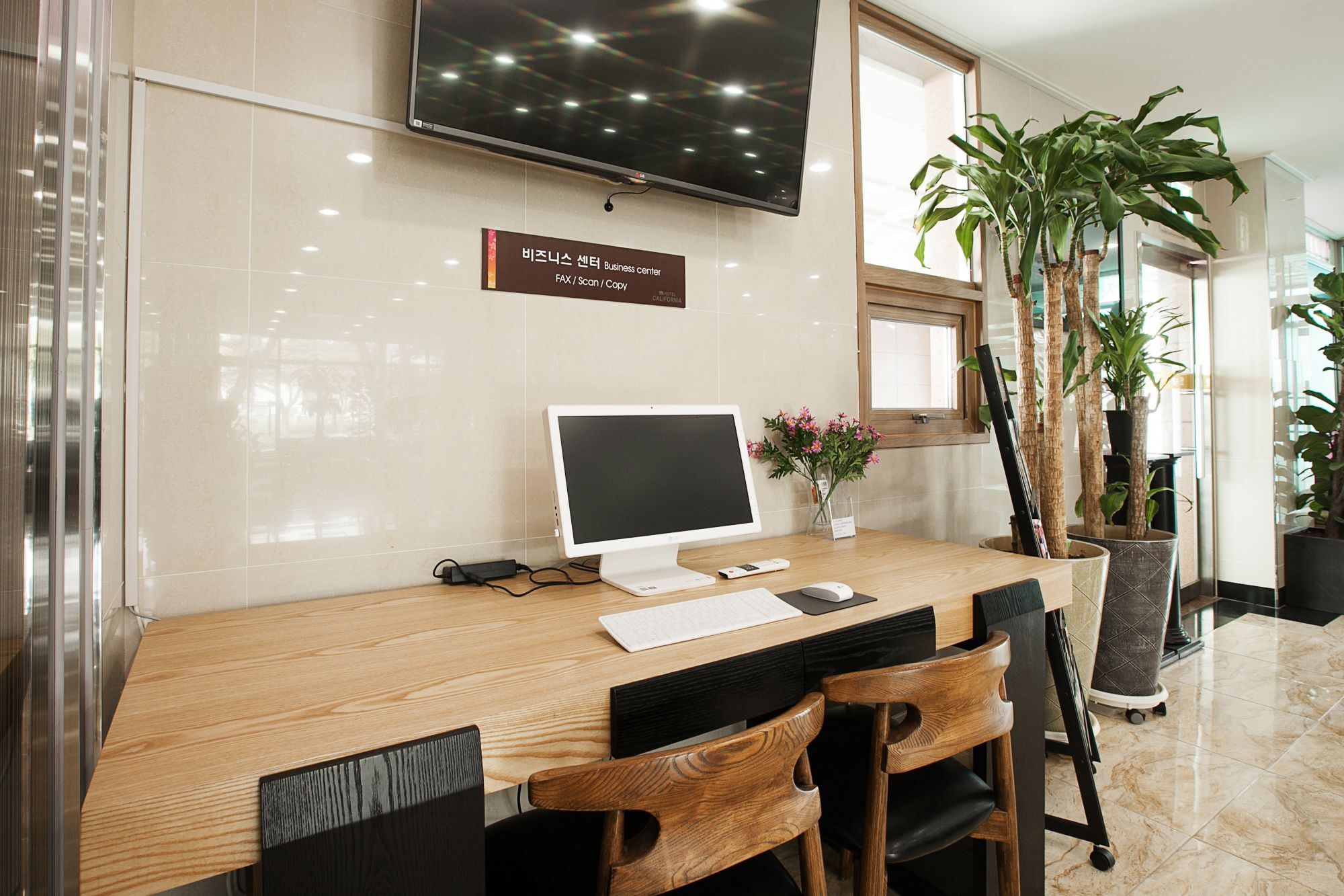 Hotel California Seogwipo Extérieur photo